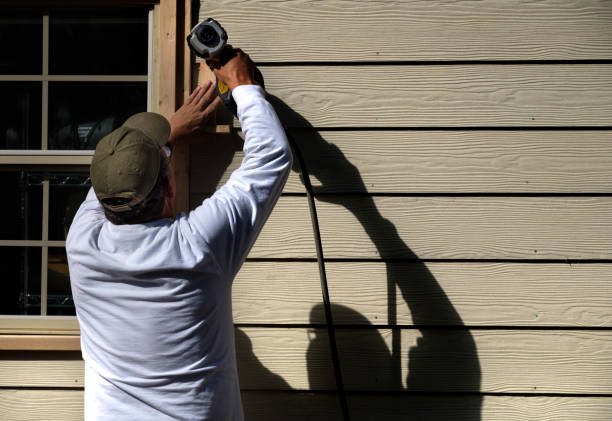 Best Siding Painting and Refinishing  in Meadow Les, AK